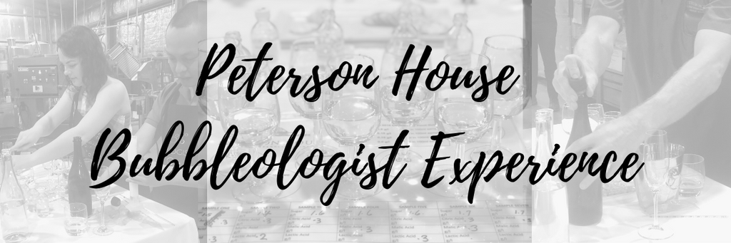 Peterson House Bubbleologist Experience