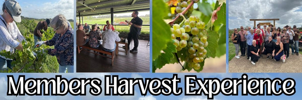 Peterson House’s First Members Harvest Experience