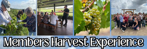 Peterson House’s First Members Harvest Experience